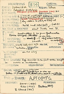 岩田久二雄フィールドノート