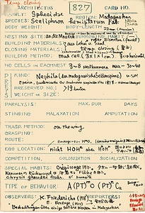 岩田久二雄フィールドノート