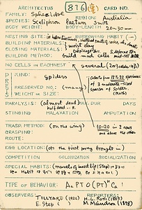 岩田久二雄フィールドノート