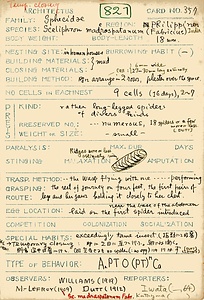 岩田久二雄フィールドノート