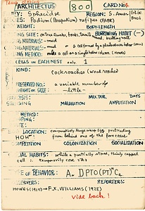 岩田久二雄フィールドノート