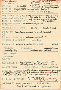 岩田久二雄フィールドノート