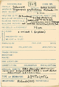 岩田久二雄フィールドノート