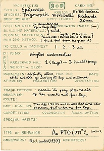 岩田久二雄フィールドノート