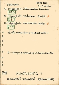 岩田久二雄フィールドノート