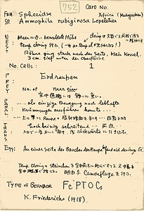 岩田久二雄フィールドノート