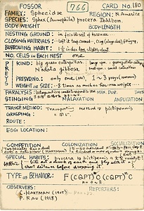 岩田久二雄フィールドノート