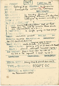 岩田久二雄フィールドノート