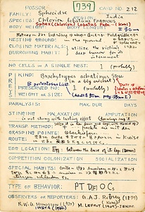 岩田久二雄フィールドノート