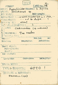 岩田久二雄フィールドノート