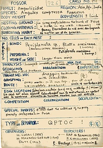 岩田久二雄フィールドノート