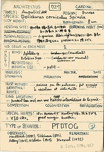 岩田久二雄フィールドノート