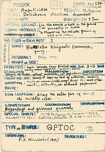 岩田久二雄フィールドノート