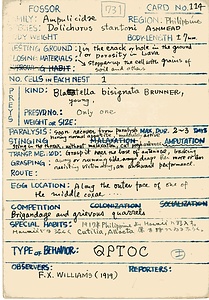 岩田久二雄フィールドノート