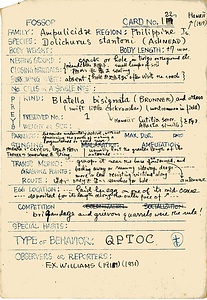 岩田久二雄フィールドノート