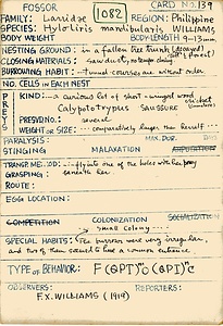 岩田久二雄フィールドノート