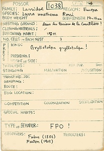 岩田久二雄フィールドノート