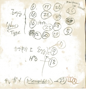 岩田久二雄フィールドノート