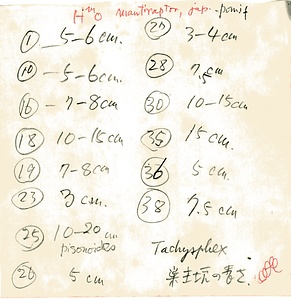 岩田久二雄フィールドノート