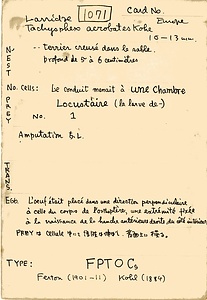 岩田久二雄フィールドノート