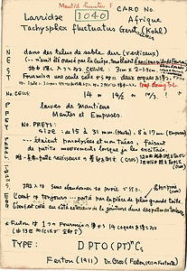 岩田久二雄フィールドノート