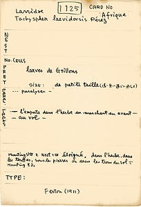 岩田久二雄フィールドノート