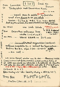 岩田久二雄フィールドノート