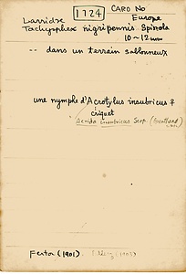 岩田久二雄フィールドノート