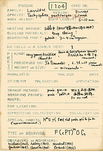 岩田久二雄フィールドノート