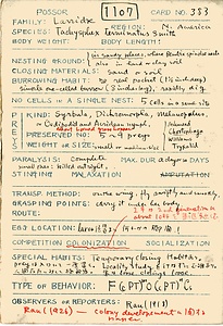 岩田久二雄フィールドノート