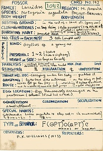 岩田久二雄フィールドノート