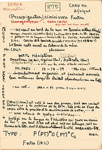 岩田久二雄フィールドノート