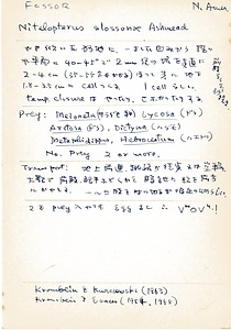 岩田久二雄フィールドノート