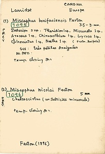 岩田久二雄フィールドノート