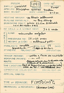 岩田久二雄フィールドノート