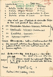 岩田久二雄フィールドノート