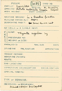 岩田久二雄フィールドノート