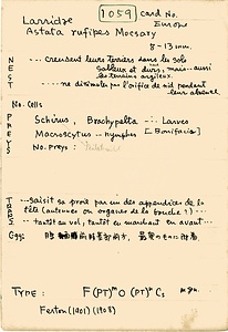 岩田久二雄フィールドノート