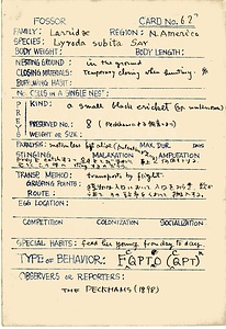 岩田久二雄フィールドノート