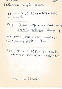 岩田久二雄フィールドノート