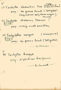 岩田久二雄フィールドノート