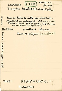 岩田久二雄フィールドノート