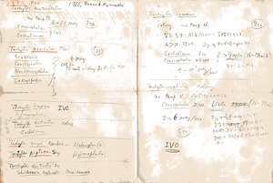 岩田久二雄フィールドノート