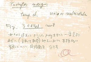 岩田久二雄フィールドノート