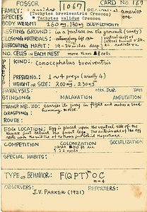 岩田久二雄フィールドノート