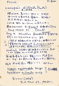 岩田久二雄フィールドノート