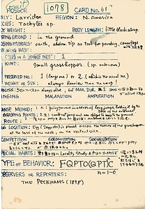 岩田久二雄フィールドノート