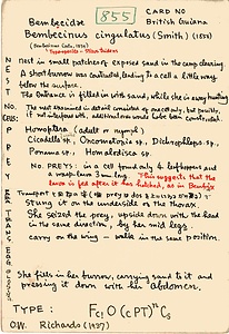 岩田久二雄フィールドノート