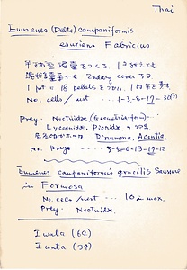 岩田久二雄フィールドノート