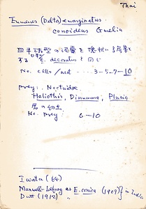 岩田久二雄フィールドノート